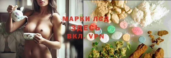 сатива Кукмор