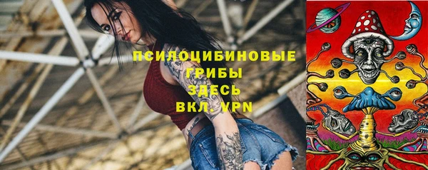 сатива Кукмор