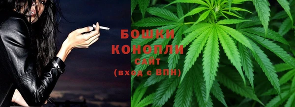 сатива Кукмор