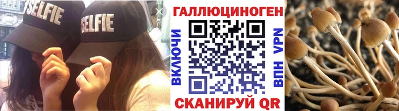 kraken зеркало  мориарти состав  Псилоцибиновые грибы MAGIC MUSHROOMS  наркошоп  Екатеринбург 